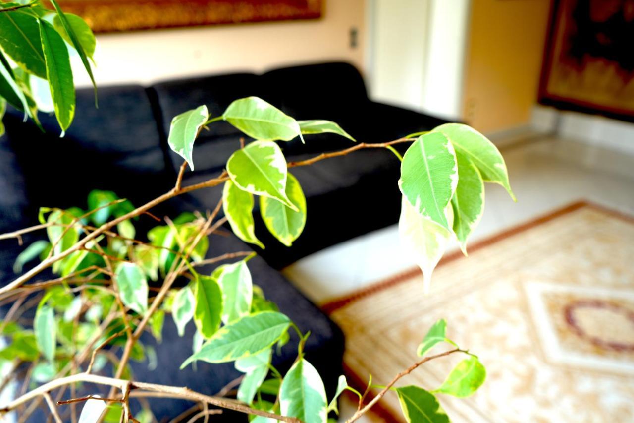 Dreamly Suites Oslip Екстериор снимка